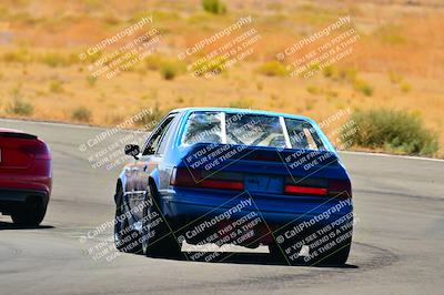 media/Sep-25-2024-Open Track Racing (Wed) [[e97609b8b7]]/Blue Group/Session 2 (Turn 5)/